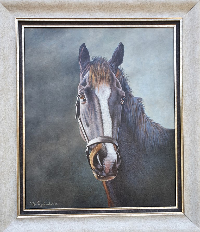 Konj crni, ulje na platnu, sa 74×64 cm, bez 60×50 cm, Predrag Peđa Radovanović, sertifikat, lux uramljena, 53100 dinara