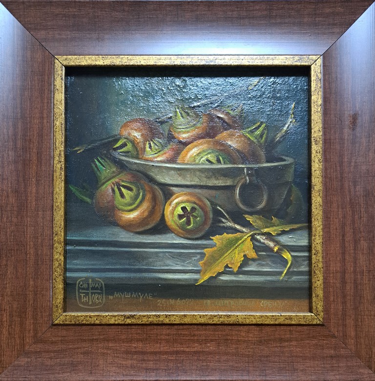 Mušmule, profesor i dekan FLU Educons Dragan Martinovic, bez 19×19 cm, sa 28×28 cm, 35400 dinara