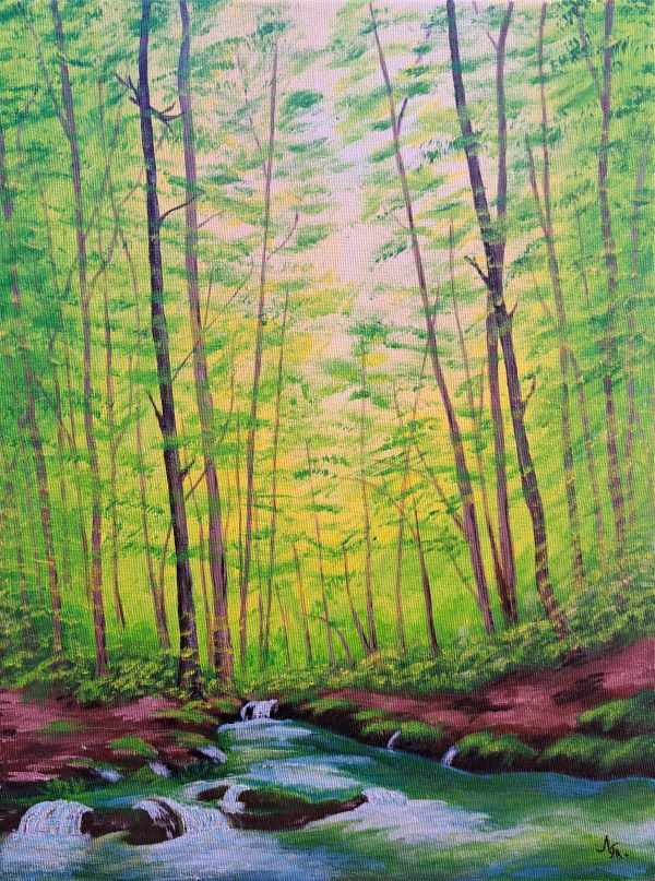 Potok, akril na platnu, Tijana L., 40×30 cm, sertifikat, 11800 dinara