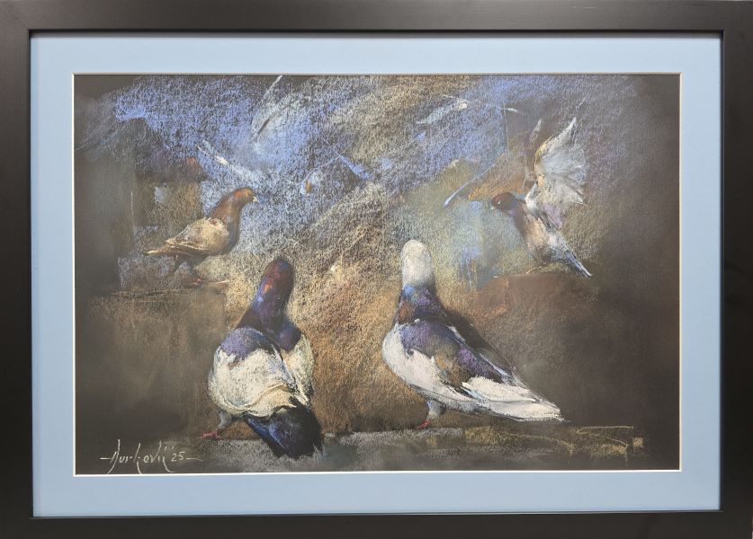 Golubovi V, Braca Đurković, pastel, sa 53×73 cm, bez 40×60 cm, 2025., sertifikat, 47200 dinara